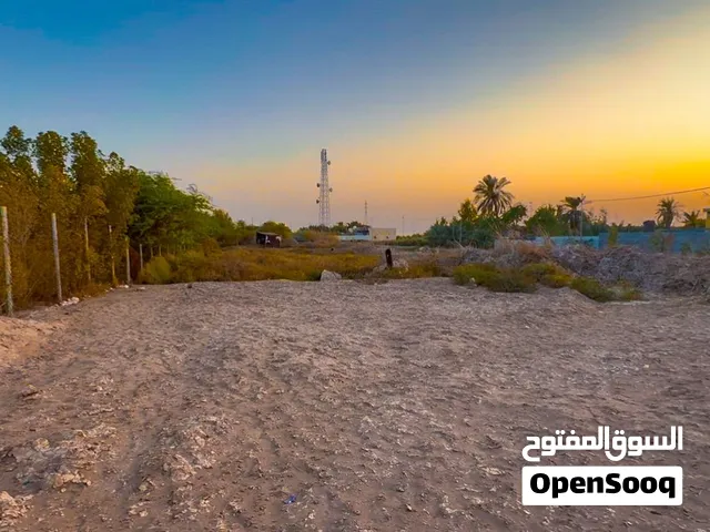 Farm Land for Sale in Basra Al-Seeba