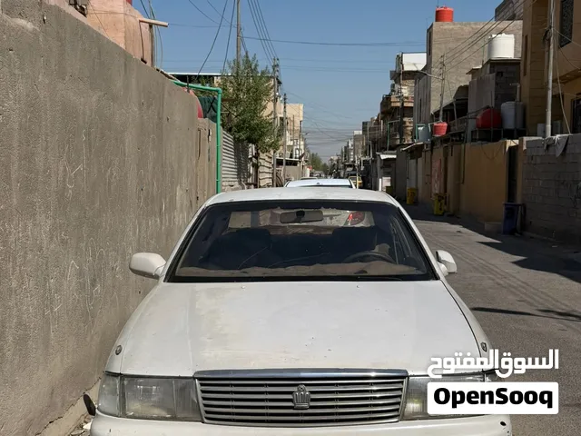 بطة متصل اصولي للبيع