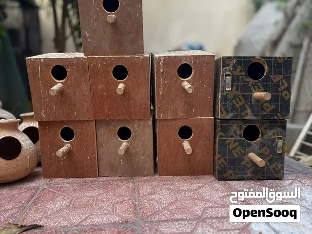 للبيع صناديق وجحل حجم كبير للطيور بسعر طيب