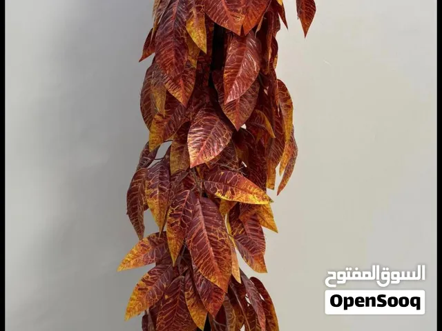 شجرة حمراء شجرة ديكور باللون الأحمر