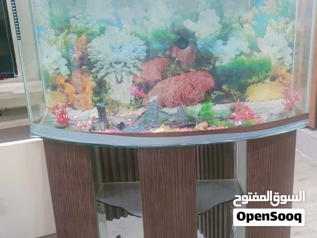 احواض سمكك