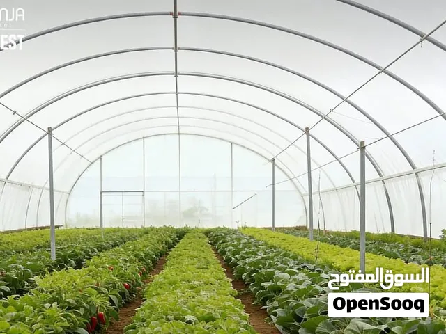 جامعة للبيع الموقع : القاهرة المساحة الإجمالية : تم شراء 7 فدادين إضافية ليصبح الإجمالي