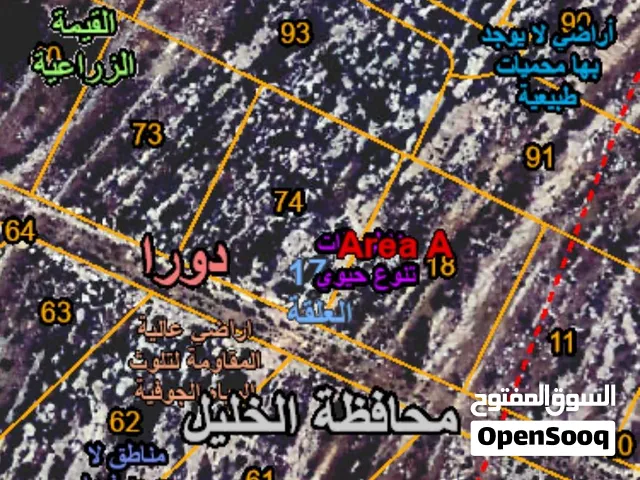 الخليل دورا كوشان طابو