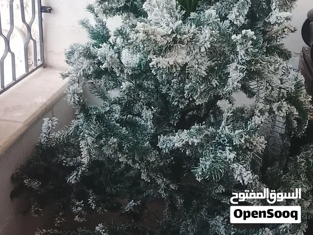 شجرة كريسمس للبيع