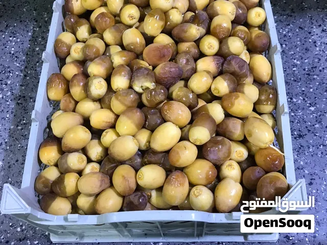 رطب برحي الكيلو 4 الاف