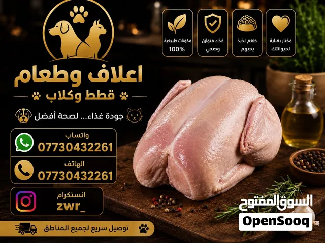 علف وطعام كلاب وقطط (دجاج)