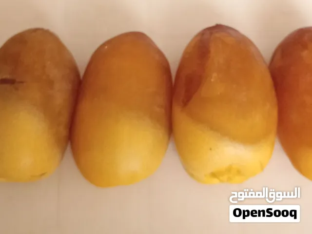 فسائل نخيل للبيع اصناف ممتازة وذات جودة عالية الثمار والاحجام والانواع في الصور