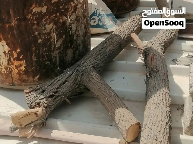 حطب سدر كميه للبيع يابس حطب مال مطاعم الي يفيده يراسلني اريده 50 وبي مجال كله مكاني حيانيه