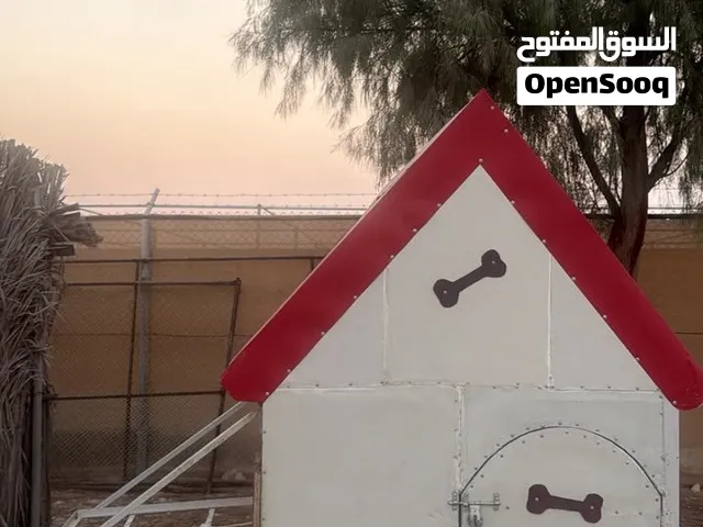 كلب جيرمن ملنوا عمره 4 شهور مع البيت