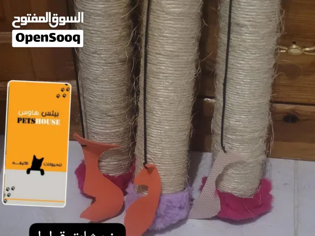خدشات للقطط 1400 10 سعودي