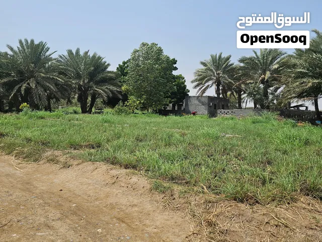 مزرعة في دغمر ، ولاية قريات ،موقع يتميز بالهدوء ، مناسبة لعمل استراحة ،