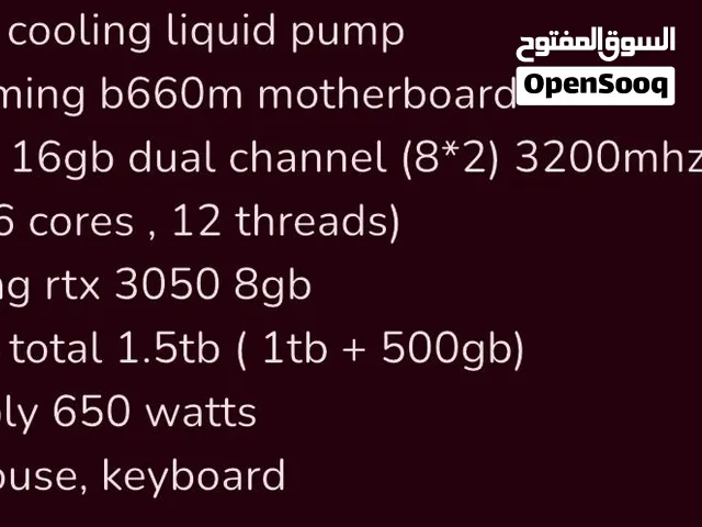 البيسي نظيف ومهتم فيه