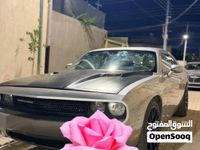 Used Dodge Challenger in Basra