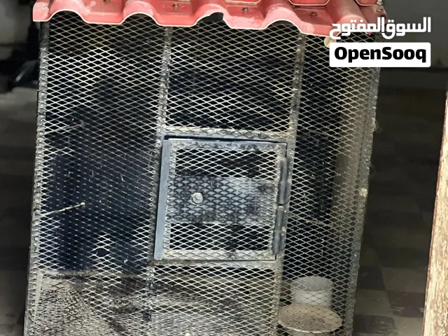 قفص ربي يبارك