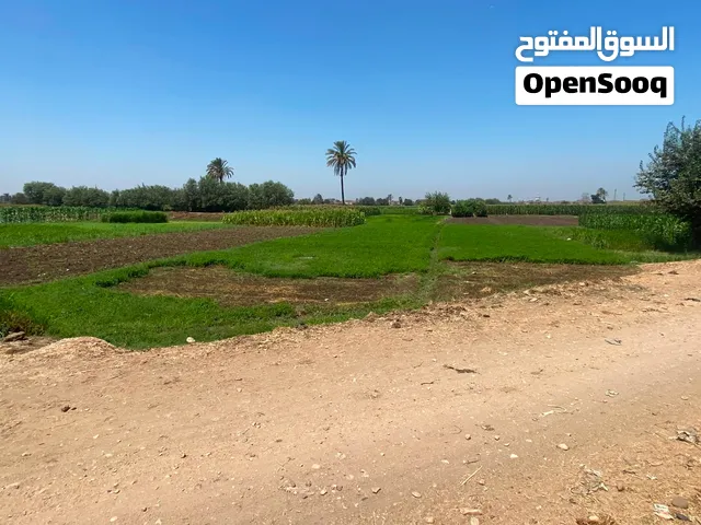 ارض زراعيه للبيع مساحه 7.5 قيراط