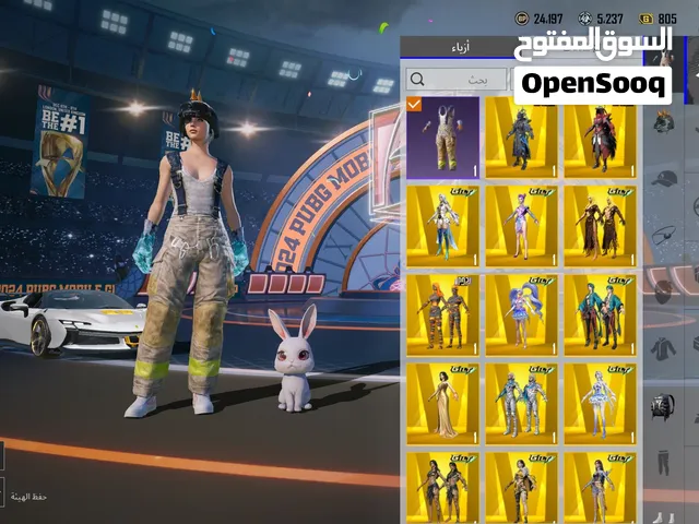 Pubg Accounts and Characters for Sale in Ajman