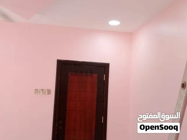 Professional Painting & Electrical Services — Inside & Outside Painting Works — House & Villa