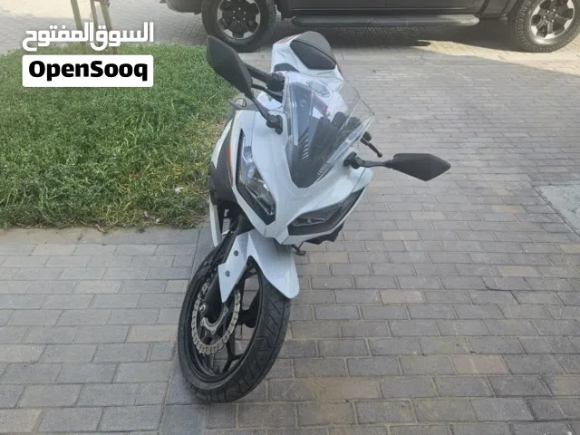 Kawasaki Ninja 300 2015