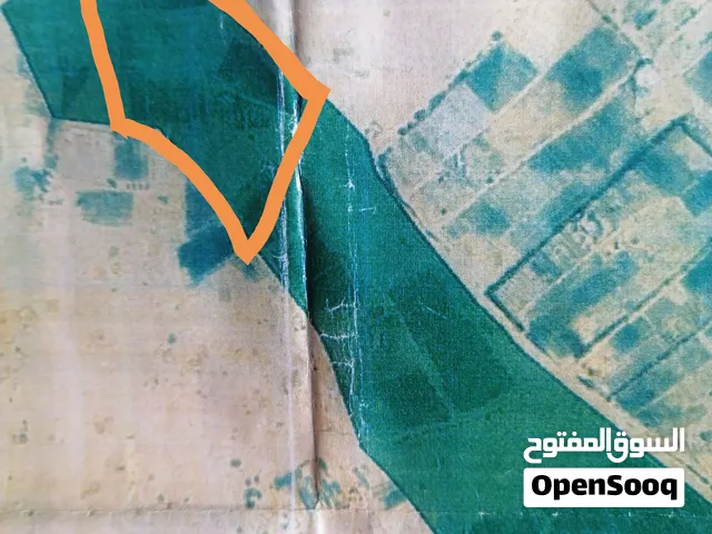 الأخوة الشركاء ناصر و حسين و مهدي