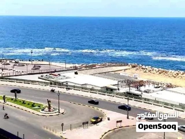 من المالك ع البحر اول عقار منه ميامي متاحه الان مطبخ كامل وسط جميع الخدمات والمطاعم فيو مفتوح للبحر