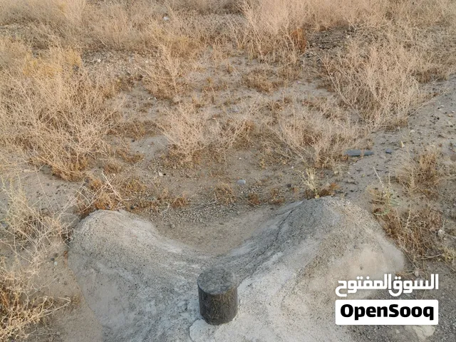 مزرعة للإيجار مسلكة بأنابيب غمر ويتوفر فيها الماء بغزاره الحمد لله
