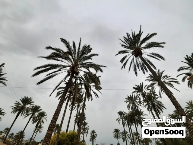 فيلا للبيع في حي الأندلس طرابلس