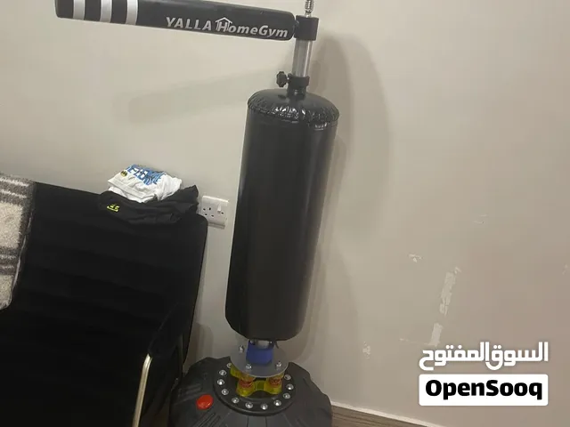 Free stand boxing bag