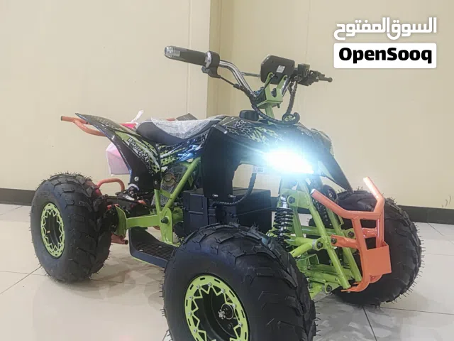 Electric qurd bike