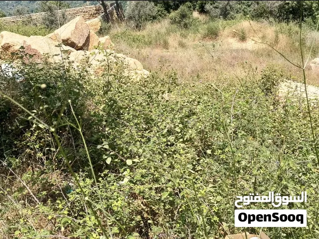 Land for Sale in Aabey – 780 m2