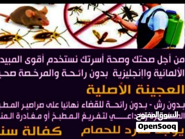 مكافحة جميع انواع الحشرات الصراصير الكبير والصغير