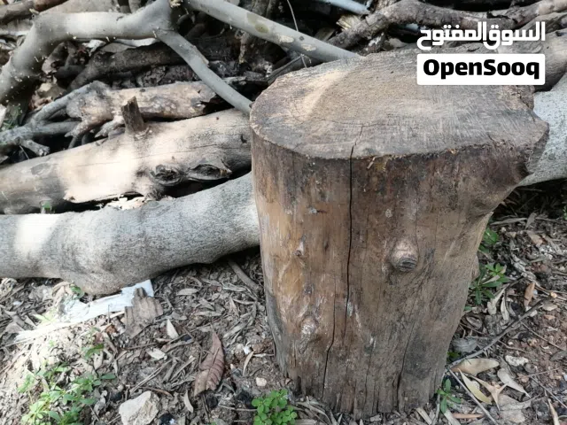 حطب للبيع شجر زيتون ولوز وسرو وتين ناشف قطع كبيرة قرامي بدون فروع