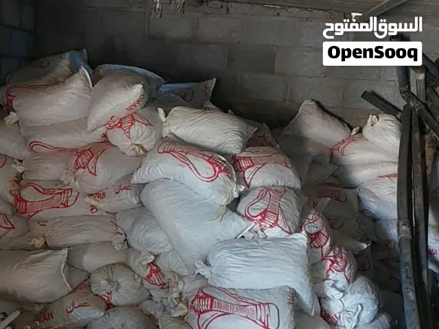 سح نفيعه انتاج السنه