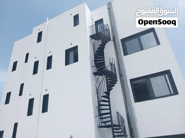 اسطي زواق مصري