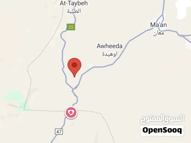 معان – الشراه الجنوبية – 52 دونم –  لكامل القطعة - من المالك مباشرة