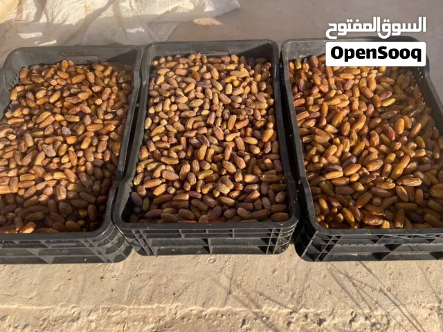 تمور دقلة ودان