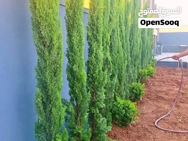 مشاتل جود وجواد الزراعيه