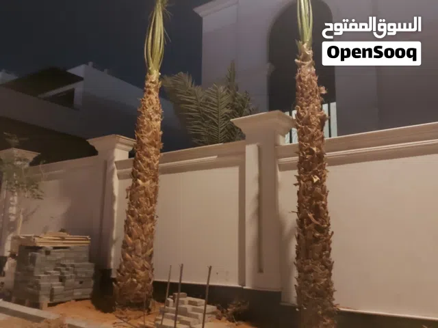 نخيل زينه للقصور والفلل
