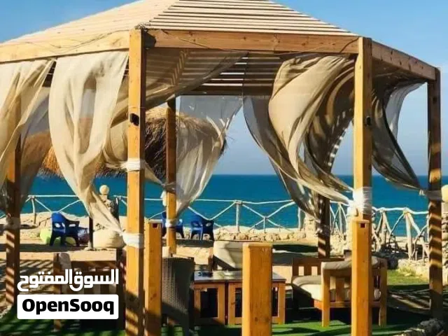 شاليهات للايجار بقريه موسي كوست راس صدر متاح شاليهات غرفتين واستوديهات من المالك مباشره وتس اب.....