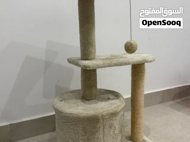 للبيع للقطط