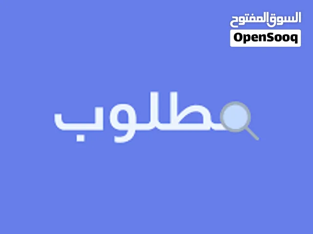 مطلوب دجاج بياض