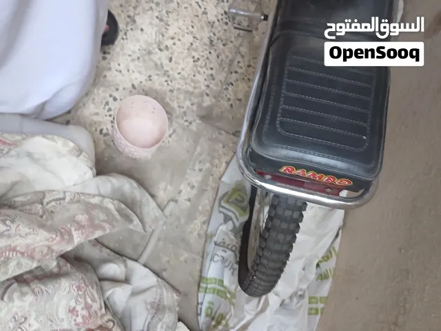 مقاس رامبو 25 كويس ما شاء الله بي 200