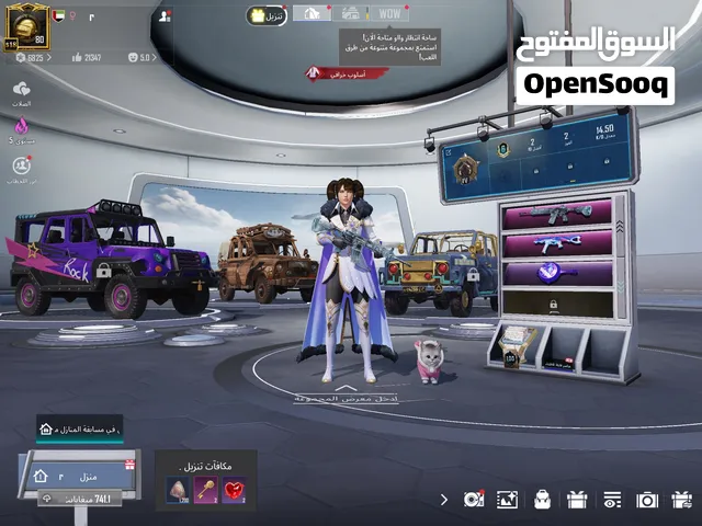 Pubg Accounts and Characters for Sale in Dubai
