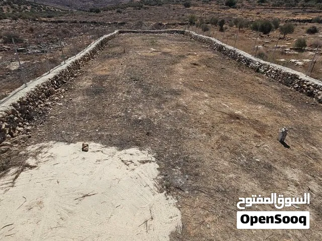 ارض دونم 1000 متر عرض 19 طول 50 تصنيف ب طابو كوشان