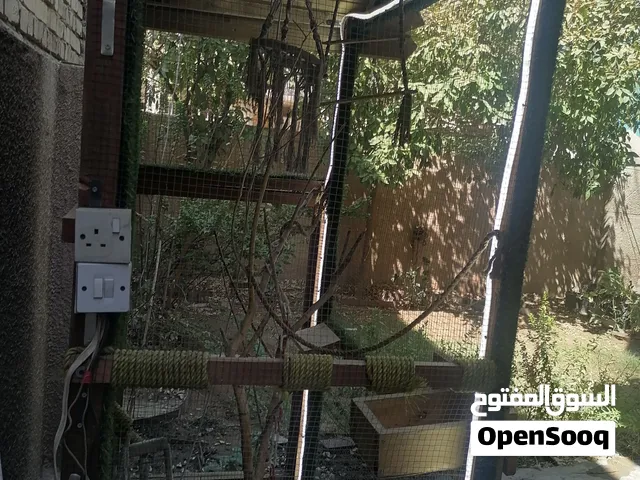 قفص لكل انواع العصافير