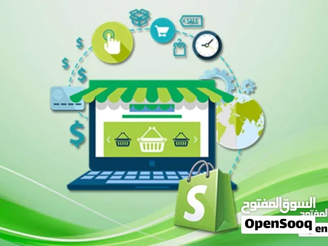 E-Commerce Online Store Setup & Development Shopify Expert