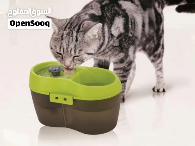 نافورة قطط بحال الجديد