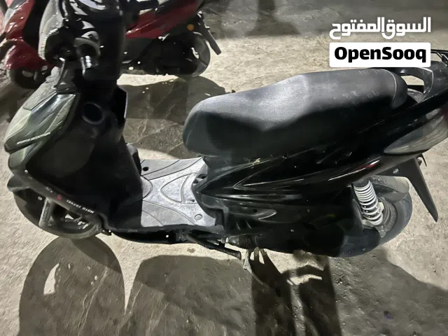 دراجة سكنس فحل