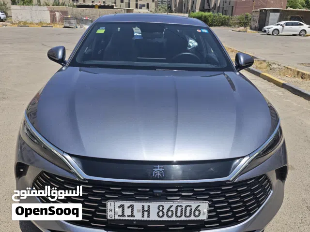 2025 بي واي دي اخرى