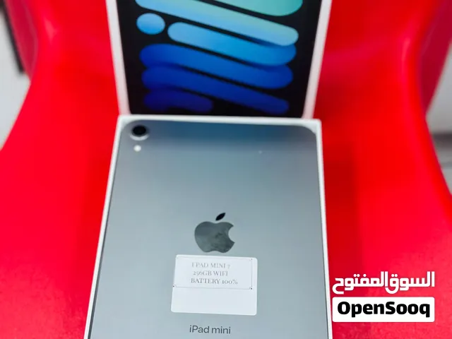 IPad mini 7 256