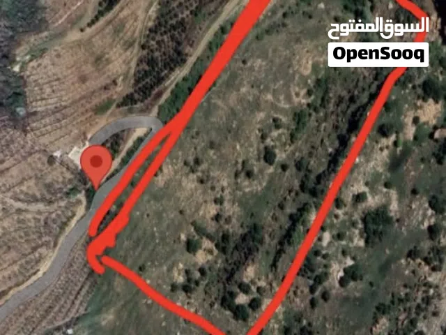 عقار مميز في صنين للبيع